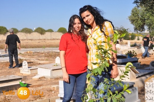 ashjar taso 0328 (6).JPG